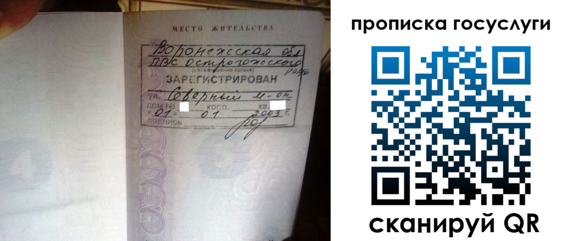 прописка законно в Сосновке